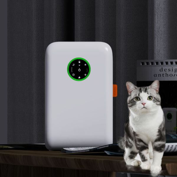 Office Desktop Air Purifier For Pet Allergies Absorbing Floating Hair