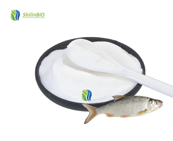 Pure 99% Fish Collagen Powder