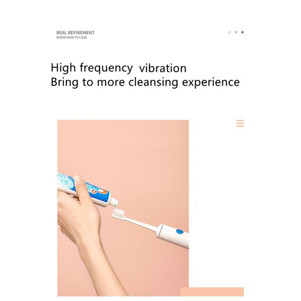 Replaceable Heads 3 In 1 Ultrasonic Electric Toothbrush