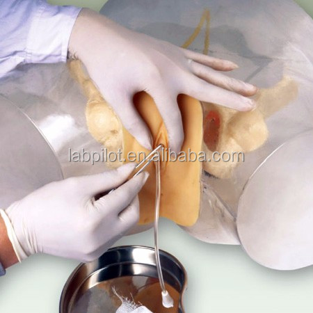Manikin for Patients Care Demonstration Transparent Urethral Catheterization Training