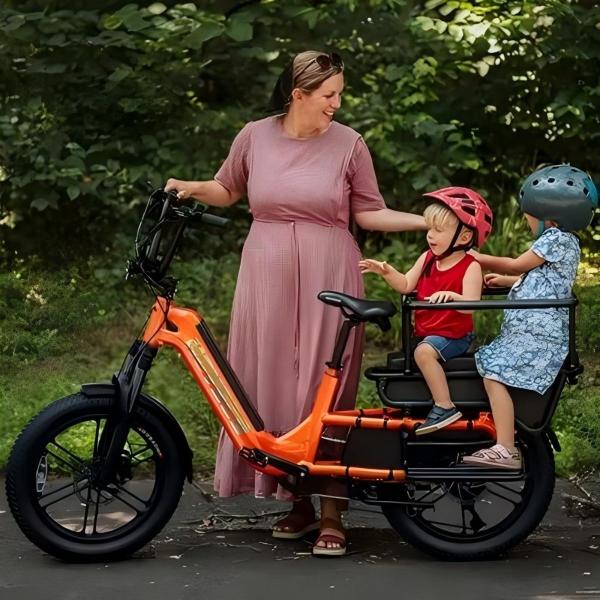 EU Stock New Arrival Fashion 20inch Cargo Ebike 25km/h Road Electric Bike Electric Moped Bicycle With 750W Motor