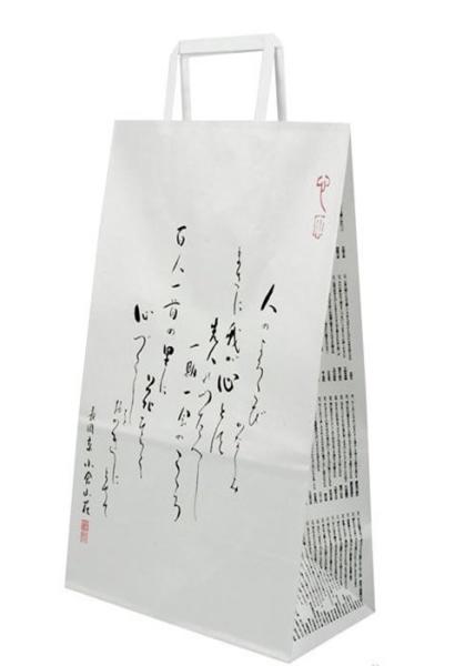 Waterproof 20*11*22cm Craft Paper Shopping Bags