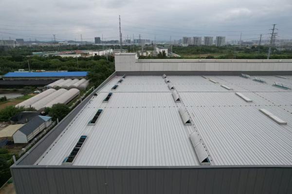 Durable Metal Structure Building with Galvanized or Painted Steel Frame Surface