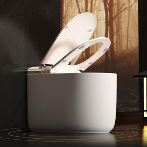 CUPC証明書 セラミック 自動洗浄 ワンピース インテリジェント ビット トイレ 浴室 WC 電動 スマート インテリジェント トイレ