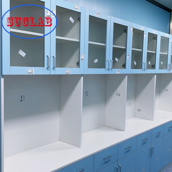 Acid Proof Hospital Lab Furniture Wall Cabinet Waterproof Practical