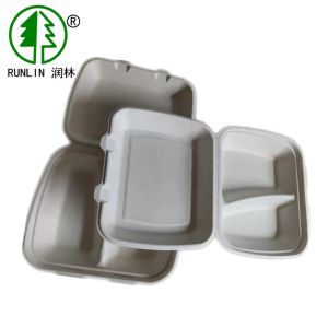 Bagasse Clamshell Box