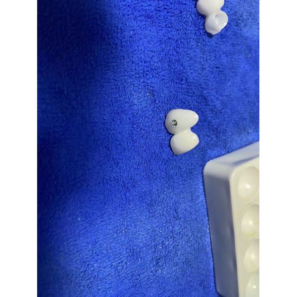 Высокопрозрачные циркониевые короны мостовые фанеры с индивидуальными ювелирными изделиями и золотом