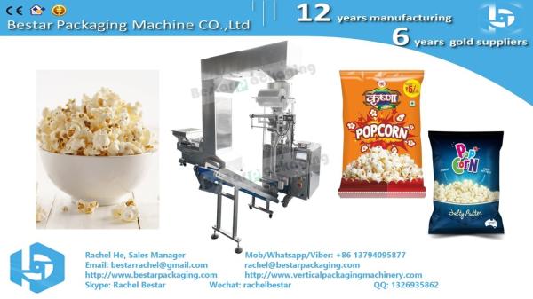 Bestar Lentils pouch weighing packaging machine BSTV-160A