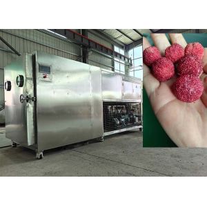 Máquina de secagem por congelamento a vácuo controlada por PLC 30-35 kg/ lote