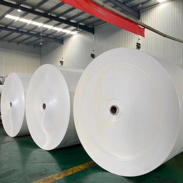 Matéria prima de papel revestida impermeável 350g do copo de chá de QS W 1200mm