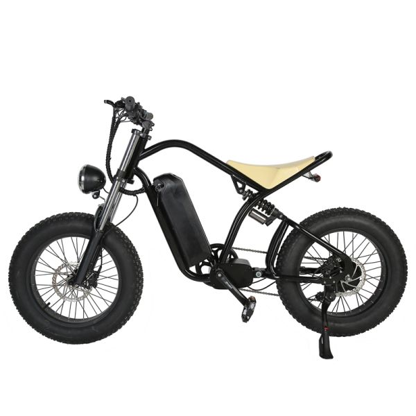 Down Tube Battery Position Fat Tire 1000W MTB Off Road Dirt Ebike Electric Bike Adult