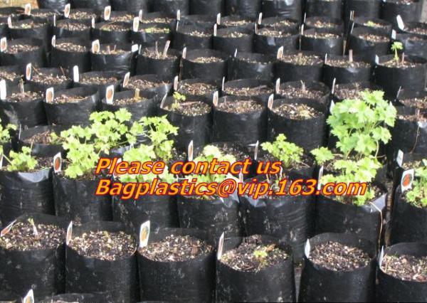 Horticulture, NURSERY, PLANTER, SEED, PLASTIC GROW BAGS, HYDROPONICS, FLOWERPOTS, BLACK