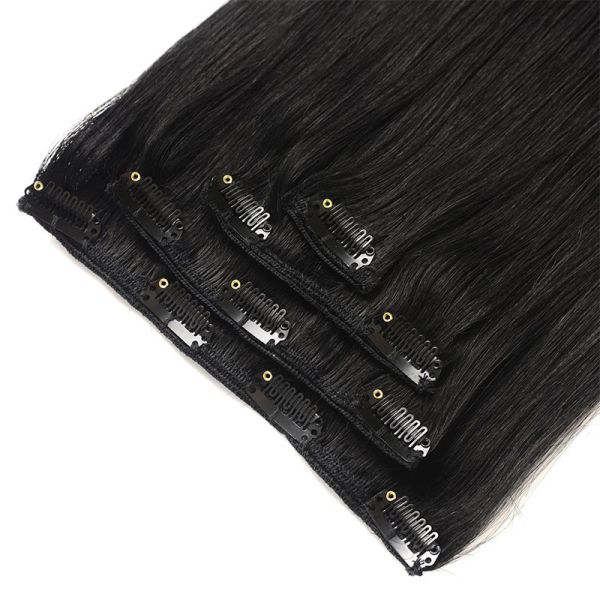 Virgin Highlight Remy Hair Clip In Extensions 7-9 Piece Set for Natural Real Raw Hair