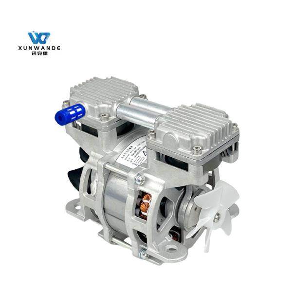 Small One In One Out Large Flow 30L/Min Oil Free Pump For Air Compressor Fast 5L Oxygen Generator