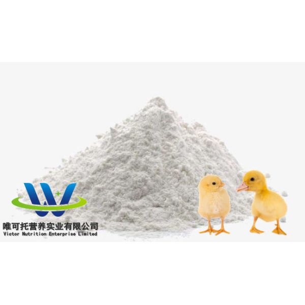 98.5% L-Lysine Feed Additives Customized Request Accepted with CCC Certification