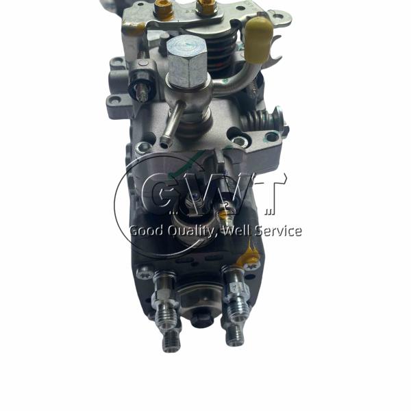 0460424562 VE Pump for Fuel Delivery
