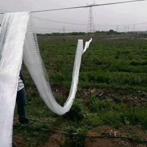 Seamless Borderlines Anti Bird Net With Good Materials And Various Mesh Sizes