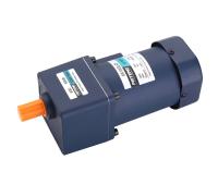 120w 1350rpm 380v AC 3 Phase Induction Motor With Gearbox