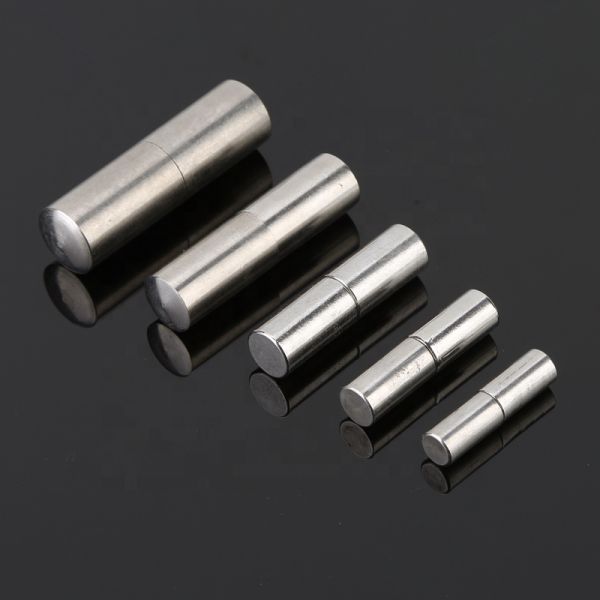 Detaching Hinge Plug Shaft Two Non-concealable Removable SUS304 Cabinet Hinges