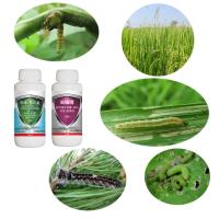 20,4% d'émamectine benzoate Bt maïs Pesticide antiparasitaire Insecticide pour les cultures de riz