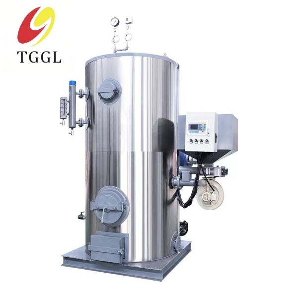 Low Pressure Vertical Steam Boiler Gas Fuel Industrial Steam Generator