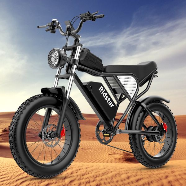 20" Men'S Fat Tire Electric Bike For Adults 7 Speed Gears Range 40-100Km