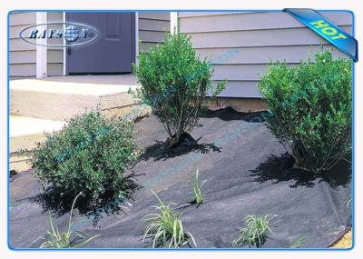 Anti tampa não tecida UV 9gsm da agricultura do jardim - 150gsm