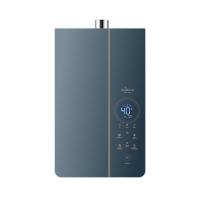 Potencia de salida de calor de 21kW Gas de escape forzado Calentador de agua de 10L Capacidad para instalación flexible