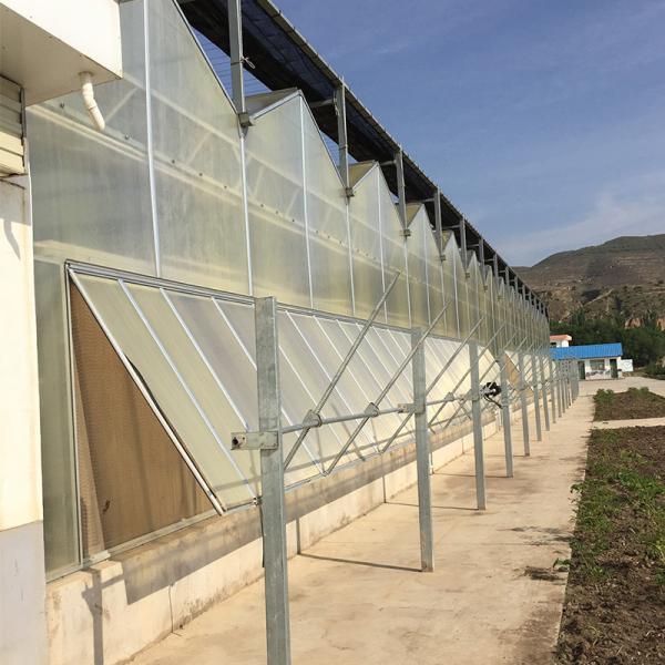 Advanced Multi-Span Hydrophonic Greenhouse for Commercial Supply Gutter Height 3m-6m