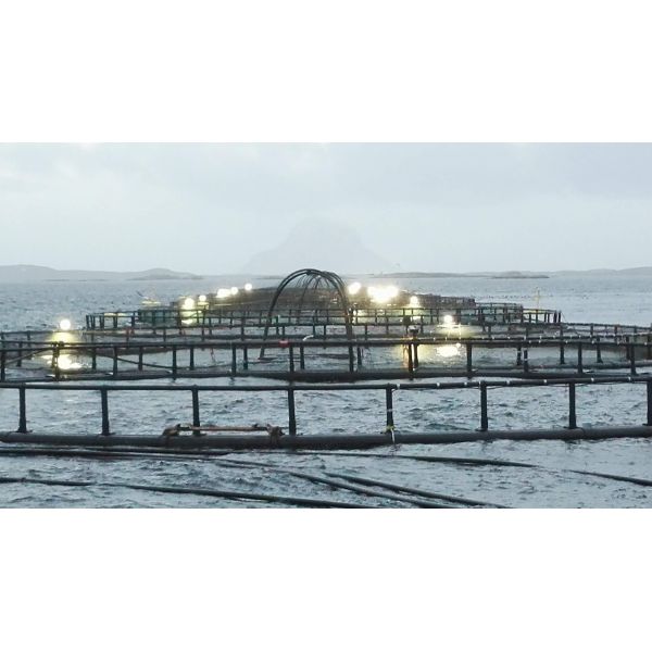 CE Waterproof Marine LED Flood Light 72000lm 600W