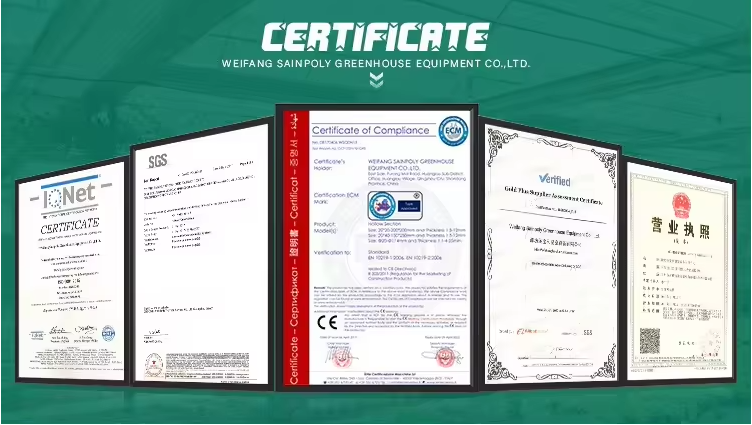 OEM Steel Frame Fruit And Vegetable Greenhouse For Strawberries