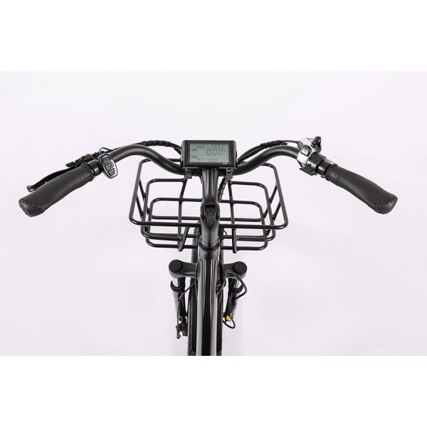 High Capacity Family Cargo Bike with Torque 80-90 Nm and Rear Carrier Battery Position