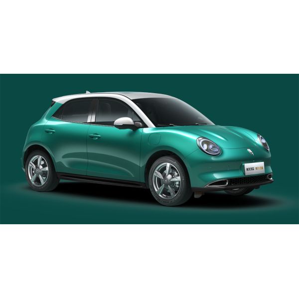 150km/h ECO Friendly Electric Vehicles 400KM ORA Good Cat Pure Electric Cars