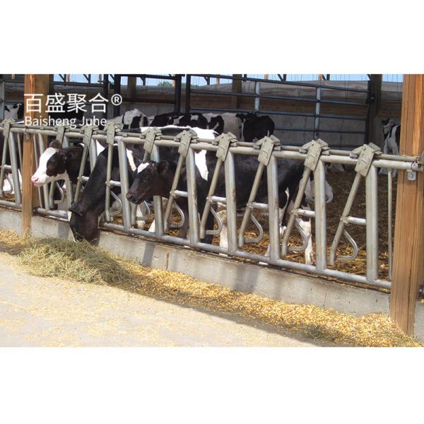 Custom Colors Metal Frame Steel Structure Cow Cattle Farm House Prefab Cow Shed Standard ASTM