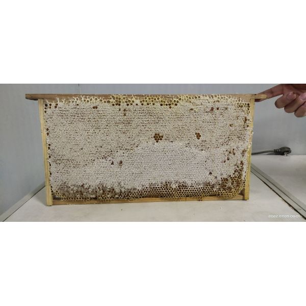 100% чистый натуральный пчелиный мед органический сырой липовый мед Никаких наркотиков