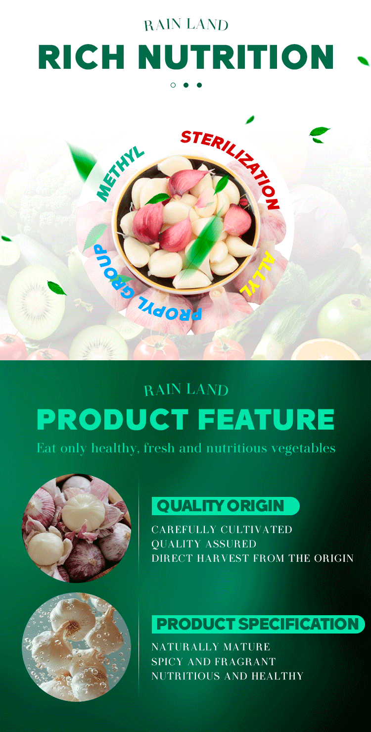 Wholesale Fresh Natural Fresh Garlic Organic Garlic Perfect for Cooking and Seasoning