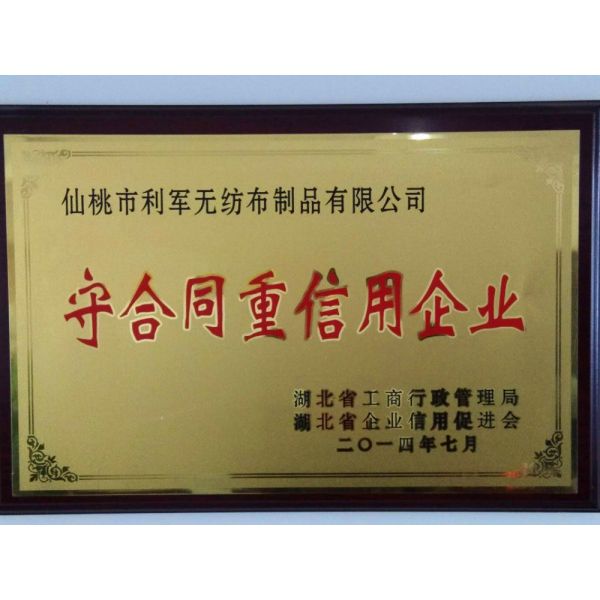 Tear Resistant Hooded Disposable Protective Coverall With Boot