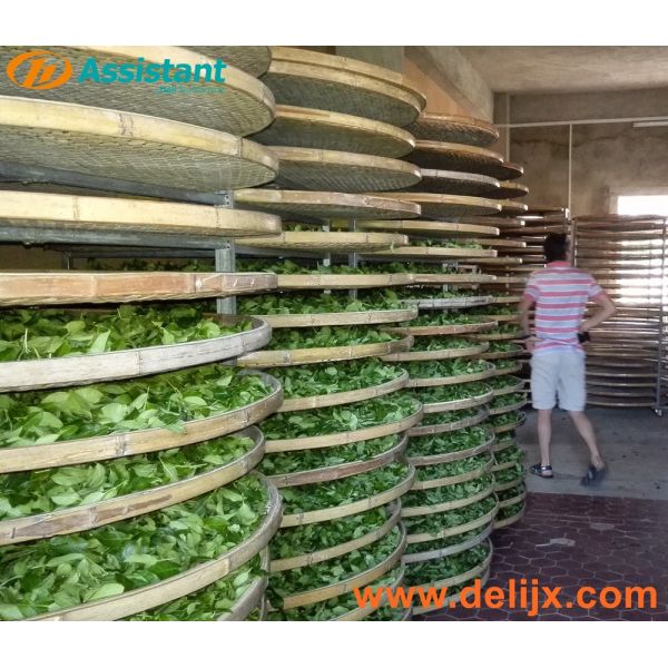 Stainless Steel or Bamboo Tea Withering Plate Pallet DL-TQJ-20 for 50kg/tine Capacity