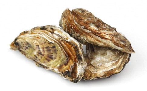 Streamline Your Oyster Fish Sorting Process with Multi-Tray Weight Sorting Machine