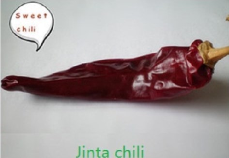 Средние горячие высушенные перцы Чили природы Chili Guajillo красные