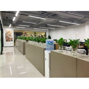 Friday International Logistics (Guangzhou) Co., Ltd.
