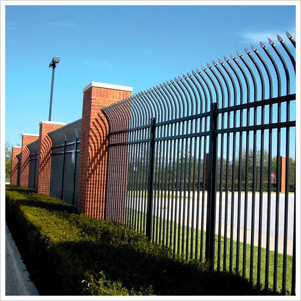 Black RAL Color  Wrought Iron Garden Fence 2400mmL X 2100mmH