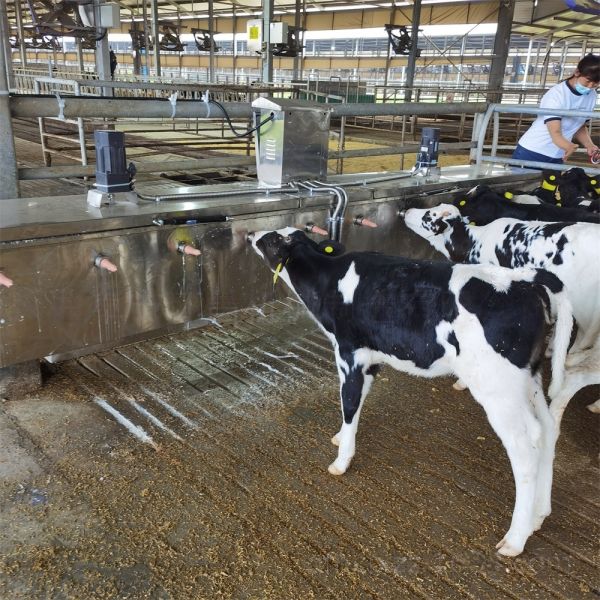 Rectangular Calf Milk Feeder Automatic Mixing Heated