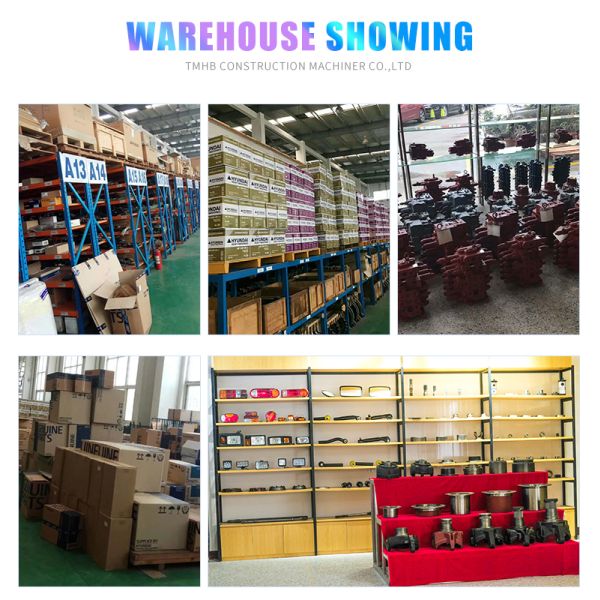 Rotary Swing Drive Motor