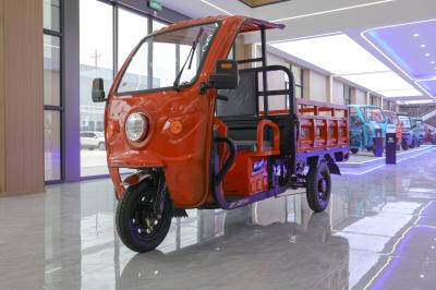 3 Wheel Cargo Electric Tricycle With Canopy Crop Transport Electric Tricycle For Cargo