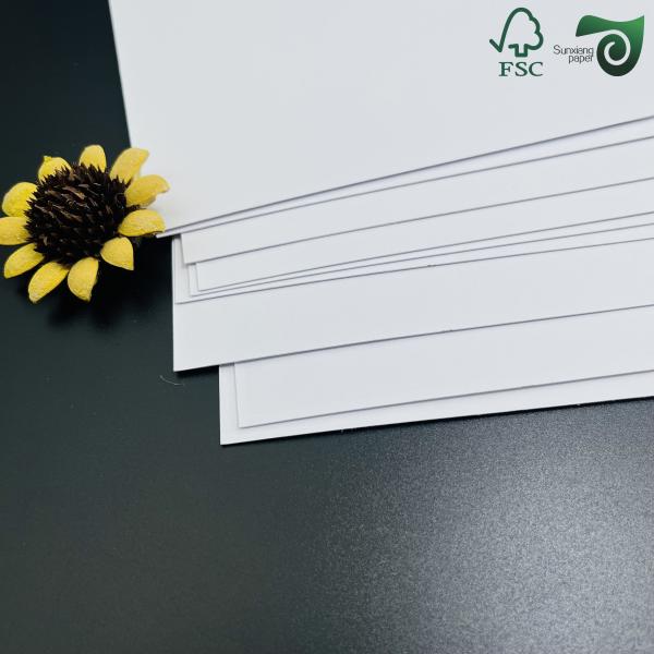 120g 144g Carton non recouvert dégradable résistant aux déchirures pour les contenants alimentaires