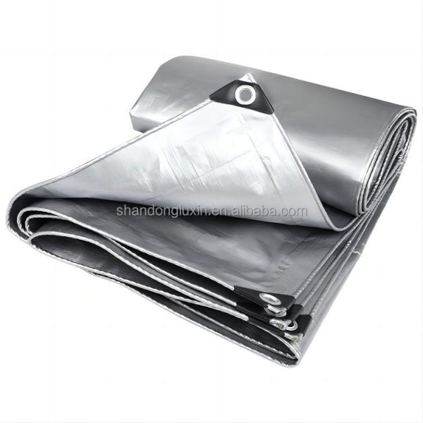 Lightweight PE Tarpaulin for Truck Cover Protect Your Truck from Harsh Elements