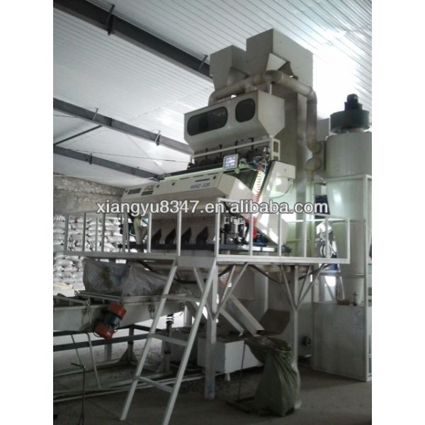 оптом Сушеные семена подсолнечника Фабрика Прямая сырая оптом T6 Семена подсолнечника