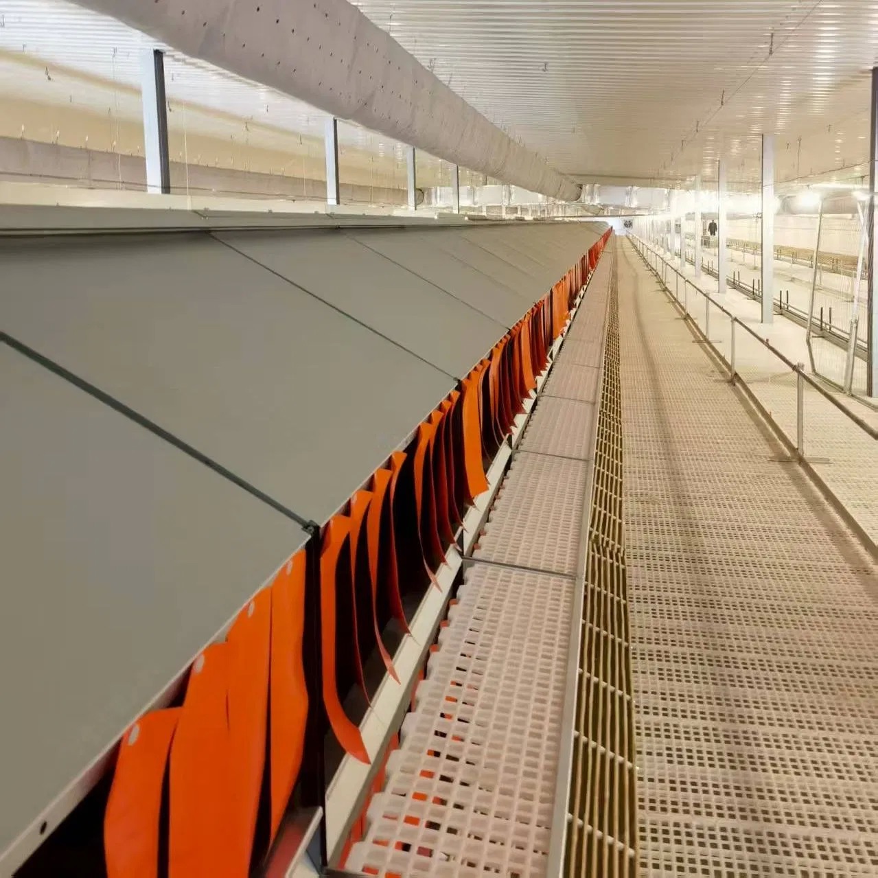 Wear Resistant Automatic Poultry Laying Box Easy Egg Collection For Breeders And Farmers