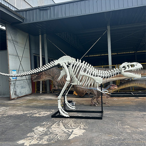 Science Center Education Display Fiberglass Dinosaur Skeleton Model 2 Years Warranty
